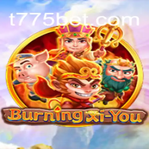 Unveiling the Intriguing World of BurningXiYou